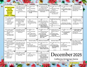 skilled nursing calendar december 2025